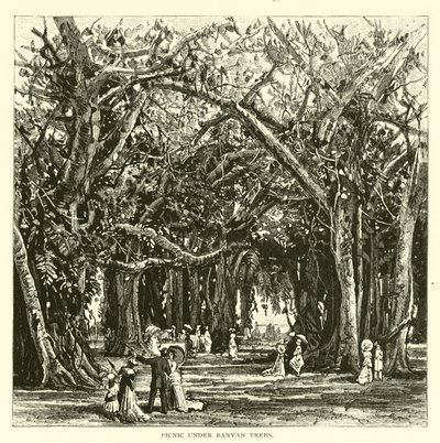 Picknick onder banyanbomen door American School