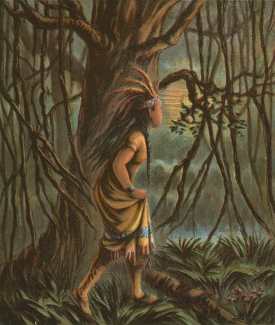 Pocahontas door American School