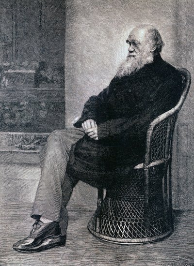 Portret van Charles Darwin door American School