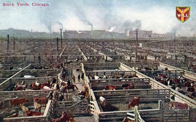 Ansichtkaart met de slachthuizen en abattoirs in Chicago, c.1910 door American School