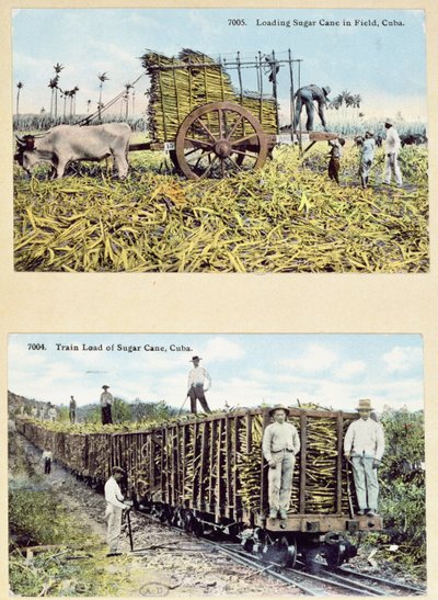 Ansichtkaarten met afbeeldingen van suikerrietplantages in Cuba, ca. 1910 door American School