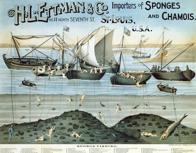 Poster die H.L. Ettman & Co., importeurs van sponzen en zeemleer, adverteert, 1897 door American School