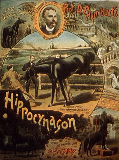 Poster die Professor D. H. Hurlburt