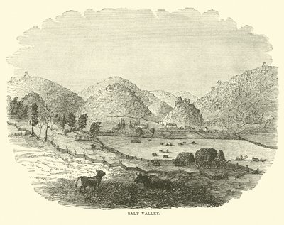 Salt Valley, december 1864 door American School
