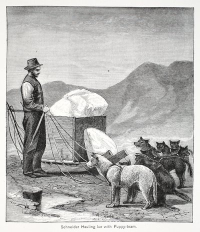 Schneider die ijs sleept met het puppy-team, Londen 1886 door American School