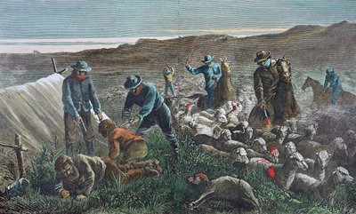 Schapenslachting tijdens de Pleasant Valley Range War, Arizona door American School