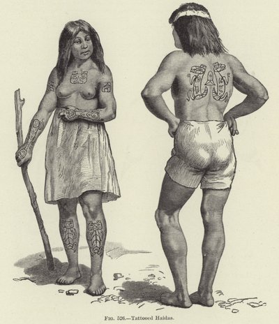 Getatoeëerde Haidas door American School