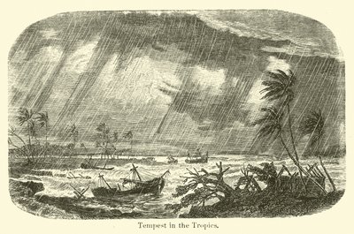 Storm in de tropen door American School