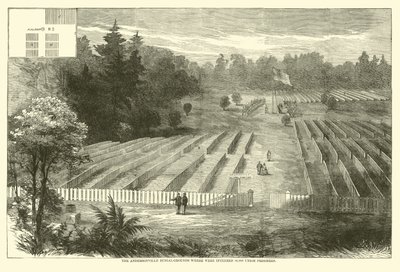 De Andersonville begraafplaats waar 14.000 Uniegevangenen werden begraven, mei 1865 door American School