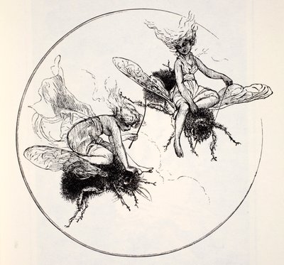 De Fays, uit The World Guide to Gnomes, Fairies, Elves and Other Little People door Thomas Keightley (1789-1872) gepubliceerd 1880 door American School