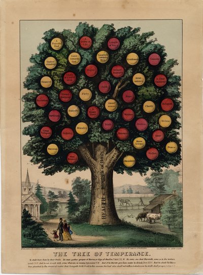De boom van matigheid door American School