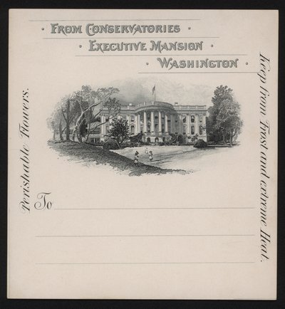 Het Witte Huis, Washington DC, VS door American School