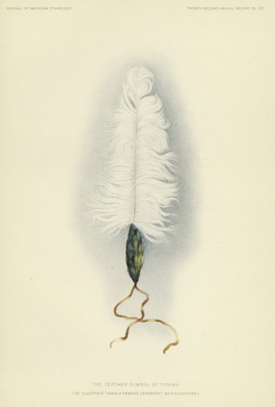 Het verensymbool van Tirawa (kleurenlitho) door American School
