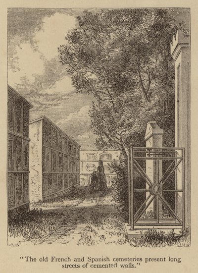 "De oude Franse en Spaanse begraafplaatsen hebben lange straten van gecementeerde muren" door American School