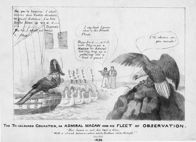 De driekleurige kaketoe, of, Admiraal Macaw en zijn vloot van observatie, 1836 door American School