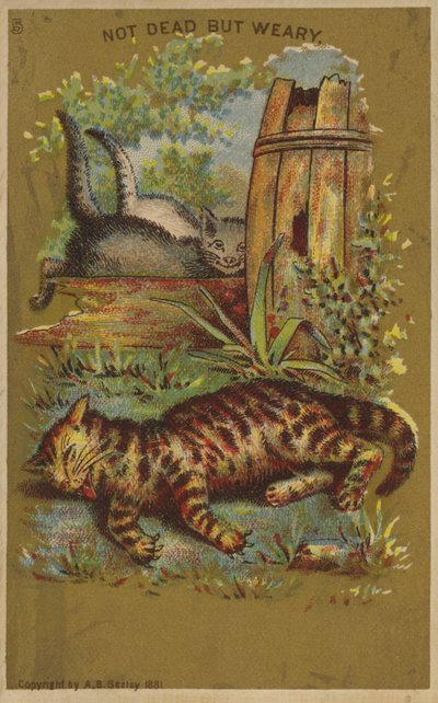 Drie Vermoeide Katten door American School