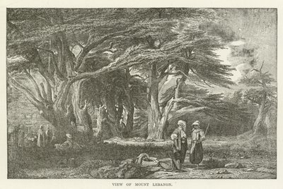 Uitzicht op de berg Libanon door American School