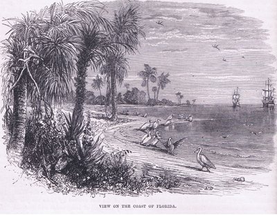 Uitzicht op de kust van Florida, illustratie uit Cassell