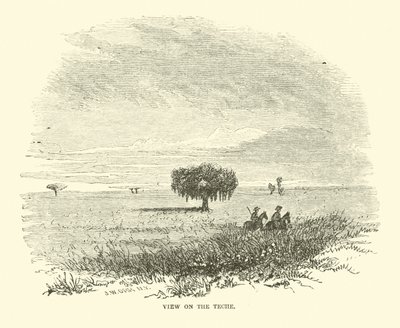 Uitzicht op de Teche, april 1863 door American School