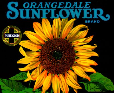 Vintage zonnebloem fruitkratlabel door American School