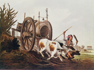 Waterkar, gereproduceerd uit Vidals Picturesque Illustrations of Buenos Aires and Montevideo, gepubliceerd in 1820, uit The Romance of the River Plate, Vol. I, door W. H. Koebel, 1914 door American School
