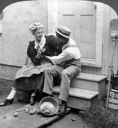 Landelijke Liefde door American Stereoscopic Company