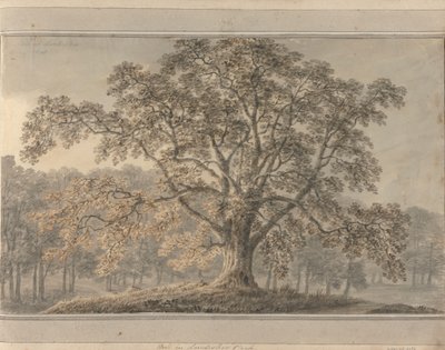 Uitzichten in Engeland, Schotland en Wales: Ash in Londesbro Park, mei 1800 door Amos Green