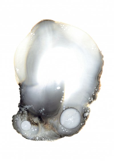 Voorbeeld XI door Amy Louise Baker