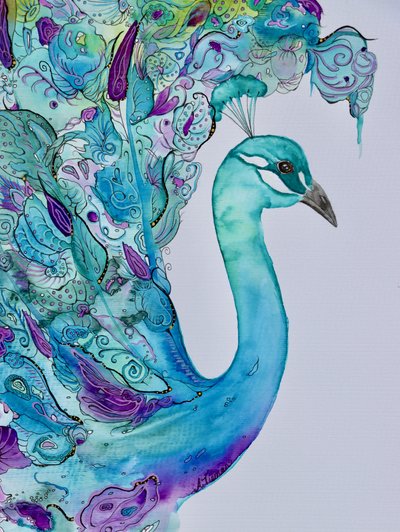 Elegante pauw in aquarel door Amy Tieman