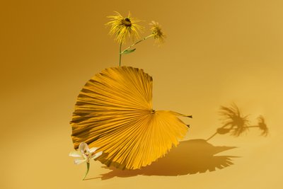  door Ana Carolina Tavares Mizrahi