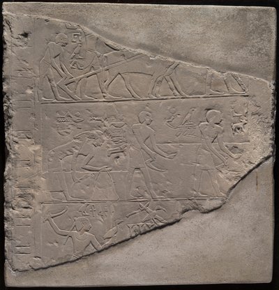 Fragment van een stèle waarop ploegen, oogsten en maaien staan afgebeeld door Ancient Egyptian