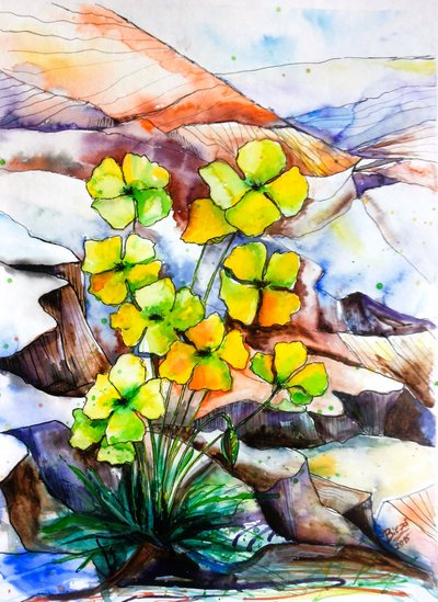 Kleurrijke bergbloemen door Anda Bieza