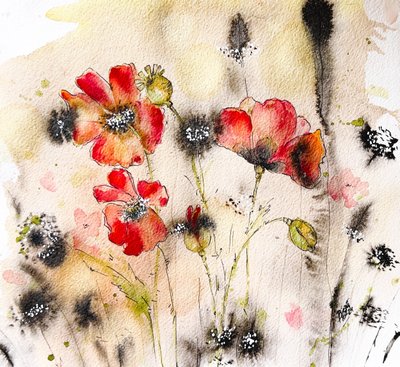 Waterverf van wilde papaver door Anda Bieza