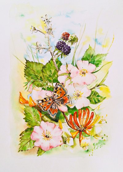 Vlindertuin met wilde bloemen door Anda Bieza