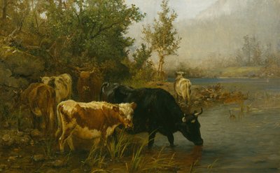 Koeien bij het water door Anders Askevold