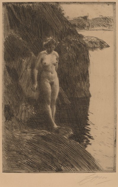 Afgrond, 1909 door Anders Leonard Zorn