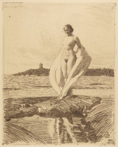 De zwaan door Anders Leonard Zorn
