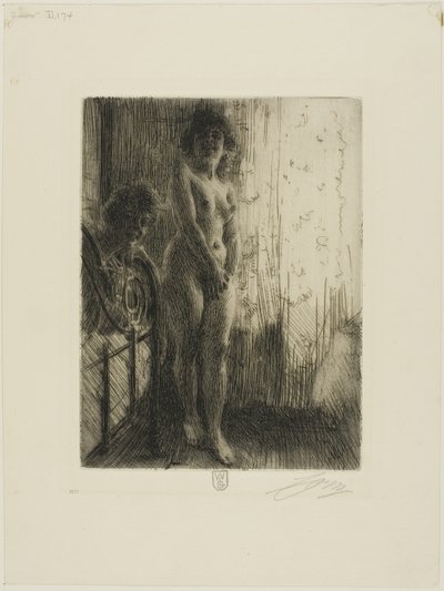 Een Donkere Hoek door Anders Leonard Zorn