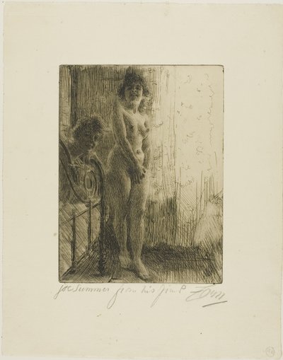 Een Donkere Hoek door Anders Leonard Zorn