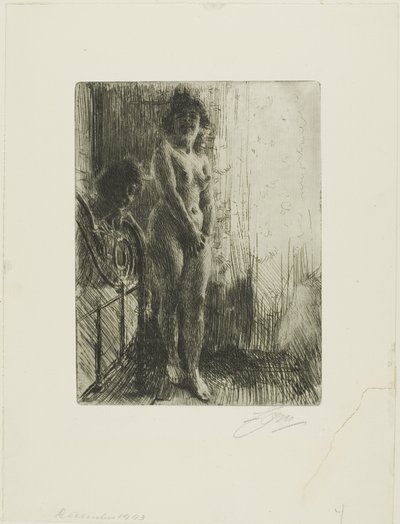 Een Donkere Hoek door Anders Leonard Zorn