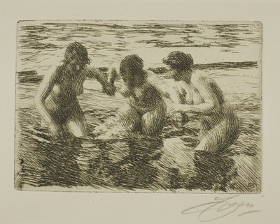 Tegen de stroom in door Anders Leonard Zorn