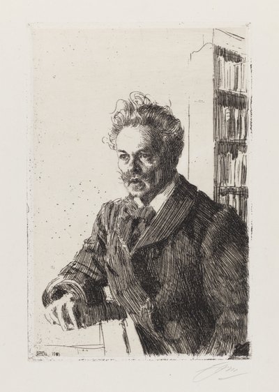  door Anders Zorn
