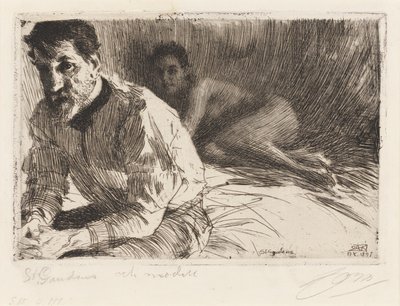  door Anders Zorn