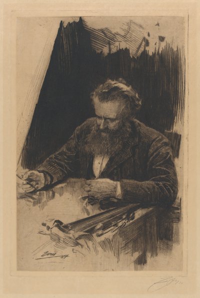  door Anders Zorn