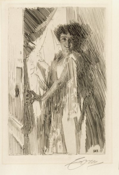  door Anders Zorn
