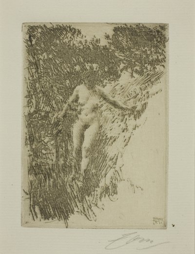 Hakhout door Anders Leonard Zorn