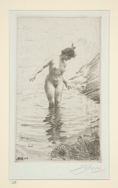 Cercles d door Anders Leonard Zorn