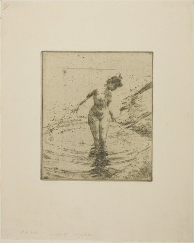 Cirkels van water I door Anders Zorn