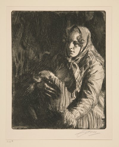  door Anders Zorn