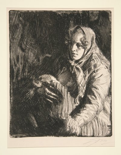  door Anders Zorn